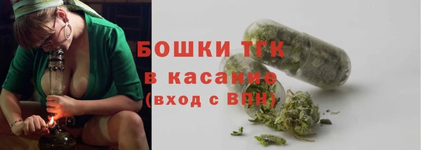 ПСИЛОЦИБИНОВЫЕ ГРИБЫ Балахна